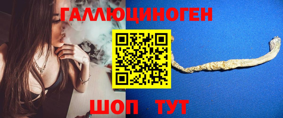 Галлюциногенные грибы MAGIC MUSHROOMS Кизилюрт