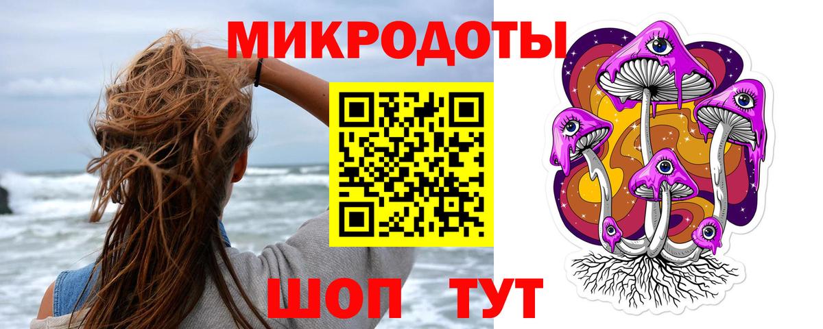 Кизилюрт  Галлюциногенные грибы Psilocybine cubensis  Вход с VPN 